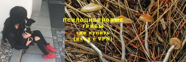a pvp Армянск