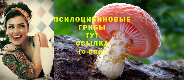 каннабис Арсеньев