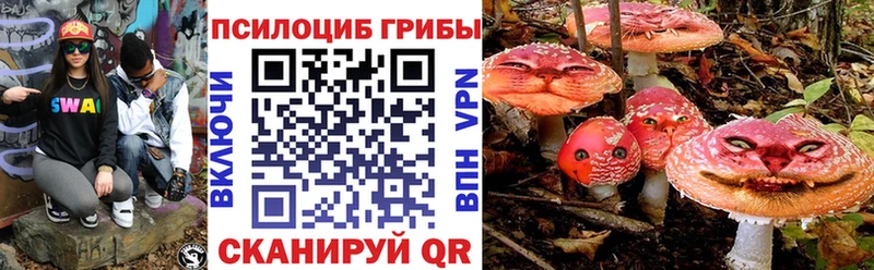 где можно купить   Сасово  shop как зайти  Галлюциногенные грибы мицелий 